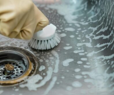 professional house cleaners in Australia